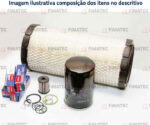 IR0009408079_KIT DE MANUTENCAO 3000H - 391-392-393 T (GLP) 01 (NORMAL) E 02 (EVO) (A PARTIR SÉRIE T03221)