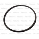 8421620_ANEL O-RING FILTRO - 095/100 - R114